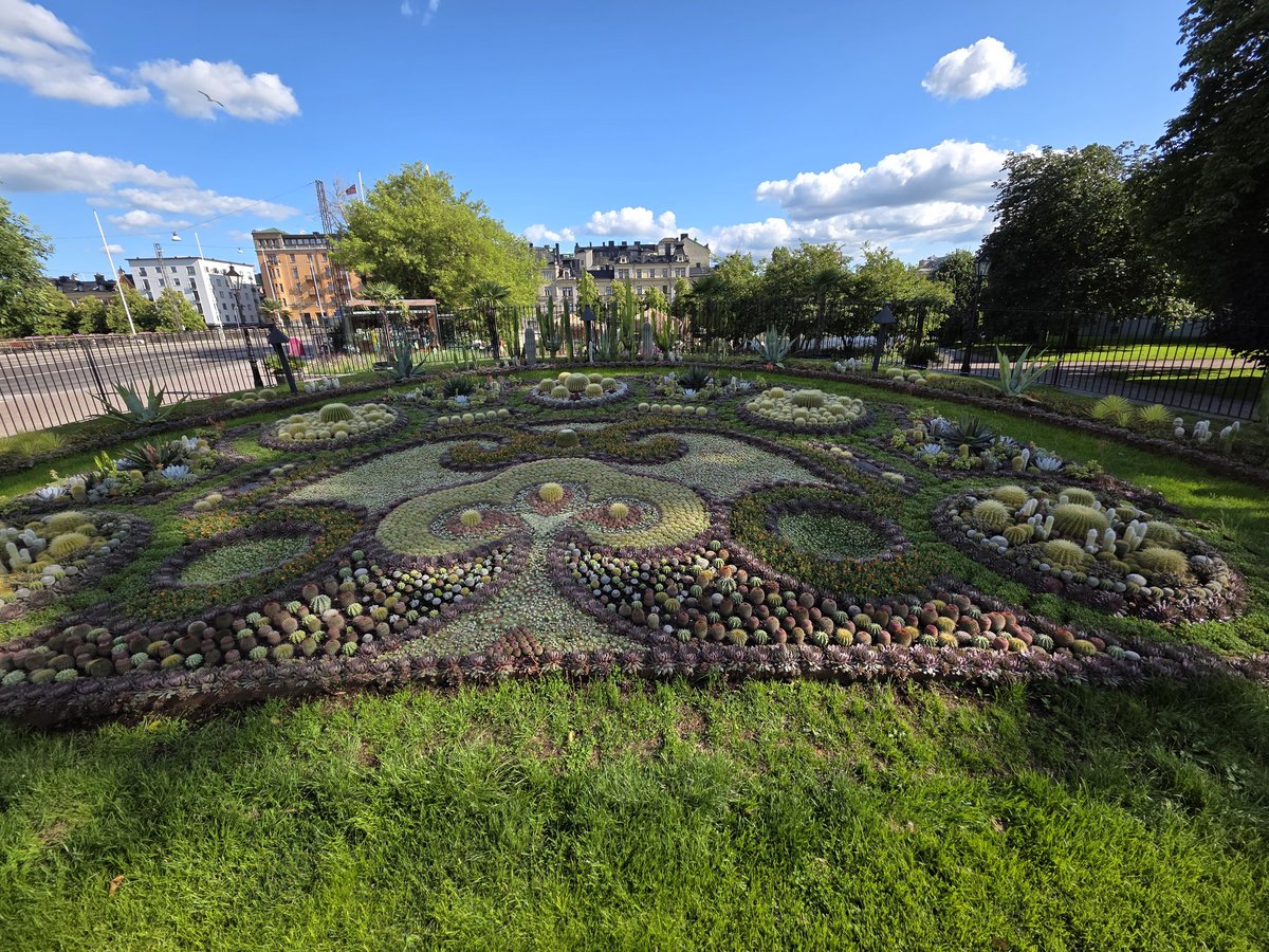 swedamien's tweet photo. Kaktusplanteringen i år.
Lite meta, då de hyllar sig själva att fylla 100 år.
Fantastiskt mönster och pill att få till det.
#Norrköping #minstad https://t.co/2yKesVLsN8