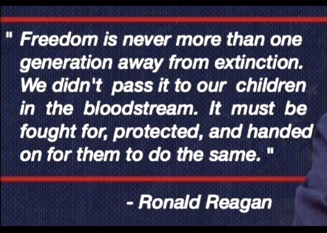 dianeeldredge99's tweet photo. @LePapillonBlu2 A new Independence Day 🇺🇸
Protect & Defend America from all enemies…
Foreign and DOMESTIC!
#RemoveTrumpNow
July 4th 2026 https://t.co/QofzYIFd7b