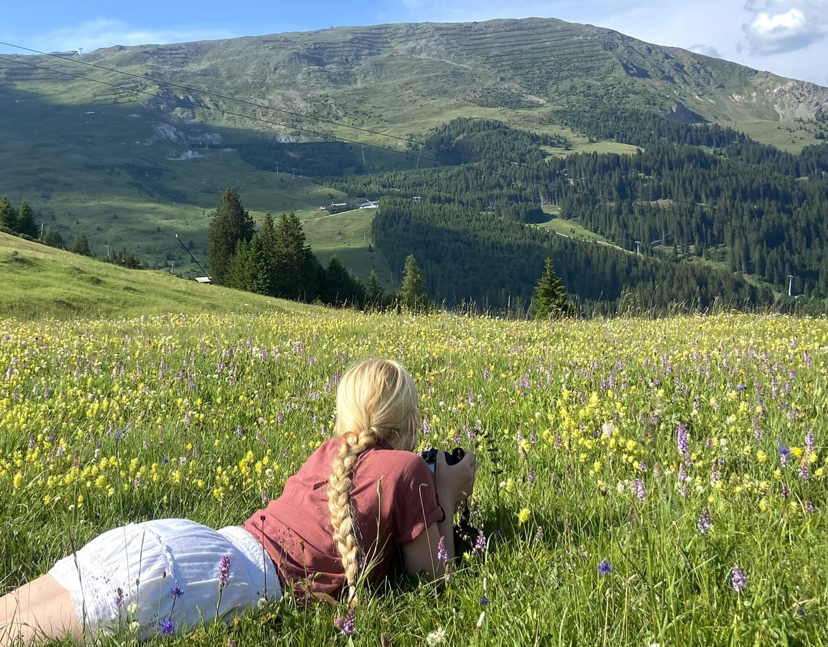 juliet_turner6's tweet photo. Happy National Meadows Day! 🌼

These rich, colourful habitats support an incredible diversity of wildlife, including native flowering plants, pollinating insects, and birds. Sadly, the UK has lost around 97% of its species-rich wildflower meadows since the 1930s. 

Many grasslands are now heavily fertilised and cut or grazed more frequently, making it difficult for some species to thrive. Meadow specialists flourish on low-nutrient soils and benefit from low-intensity grazing or a single annual hay cut after flowering.

If you get the chance this weekend, spend some time appreciating your local meadow!