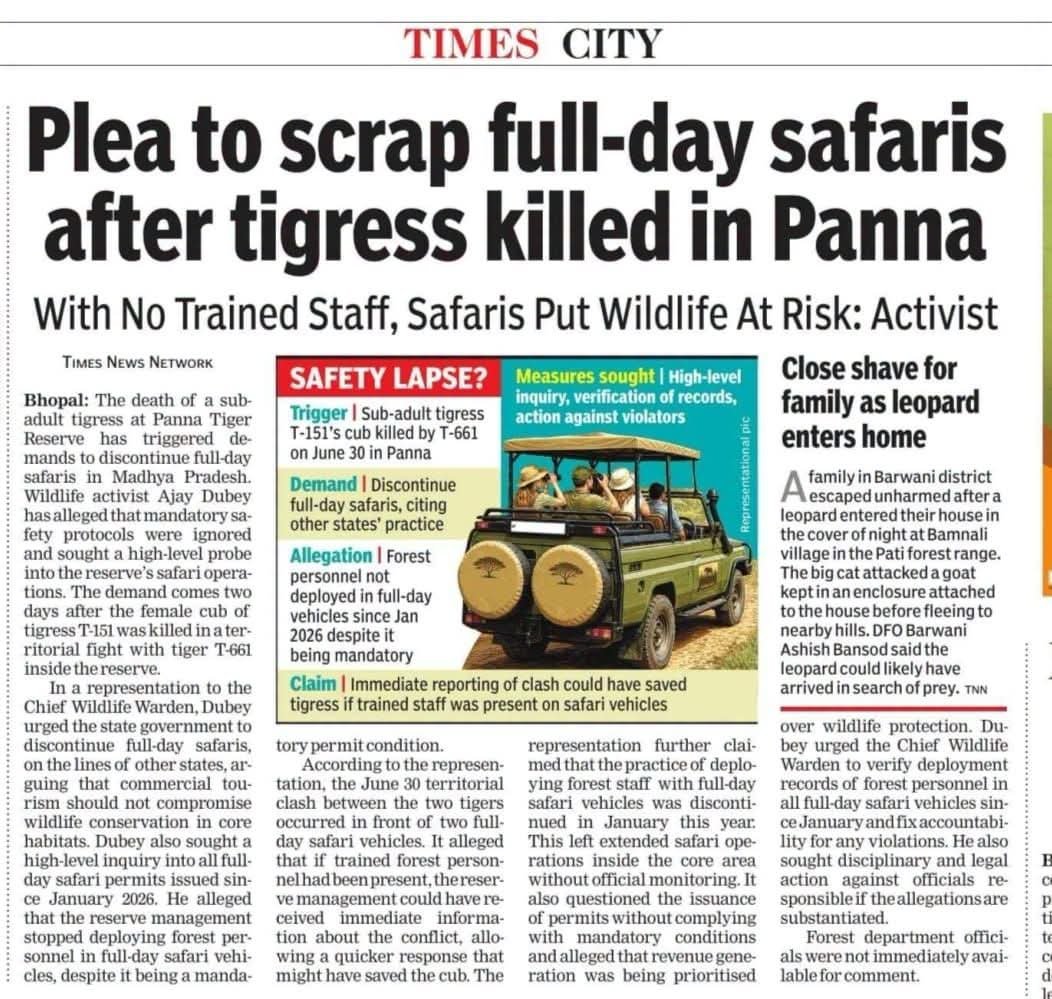 Ajaydubey9's tweet photo. In Panna Tiger Reserve,the Deputy Director has created a junior Deputy Director position, and their actions are going to get everyone caught in the clutches of the law very soon PMO India  CM Madhya Pradesh  #tigers  @ntca_india  @PMOIndia  @moefcc https://t.co/Odr9TVggSp