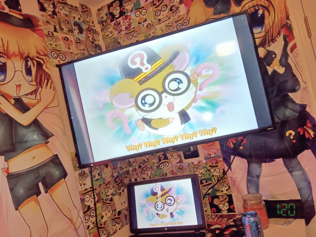 pitarinchuuu's tweet photo. the bedroom of an autistic 17 year old girl https://t.co/sT31WdzxZV