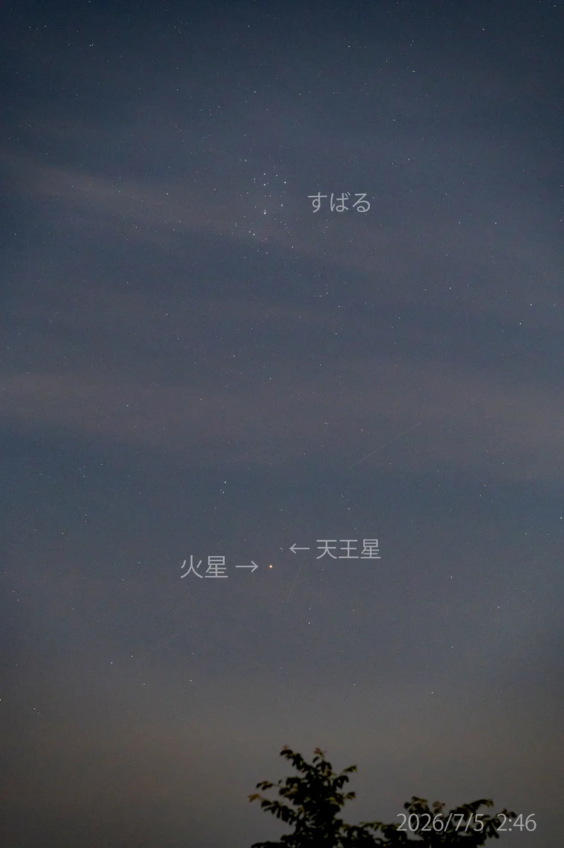 満天星 HMZ1MXKbYAEjp3g?format=webp&