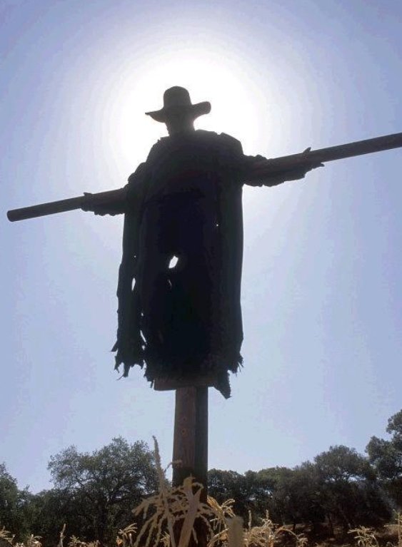 benja12k12's tweet photo. @WilliamsRuto Nani amewahi watch hii movie? 
Jeepers Creepers https://t.co/UtA4ejt45a