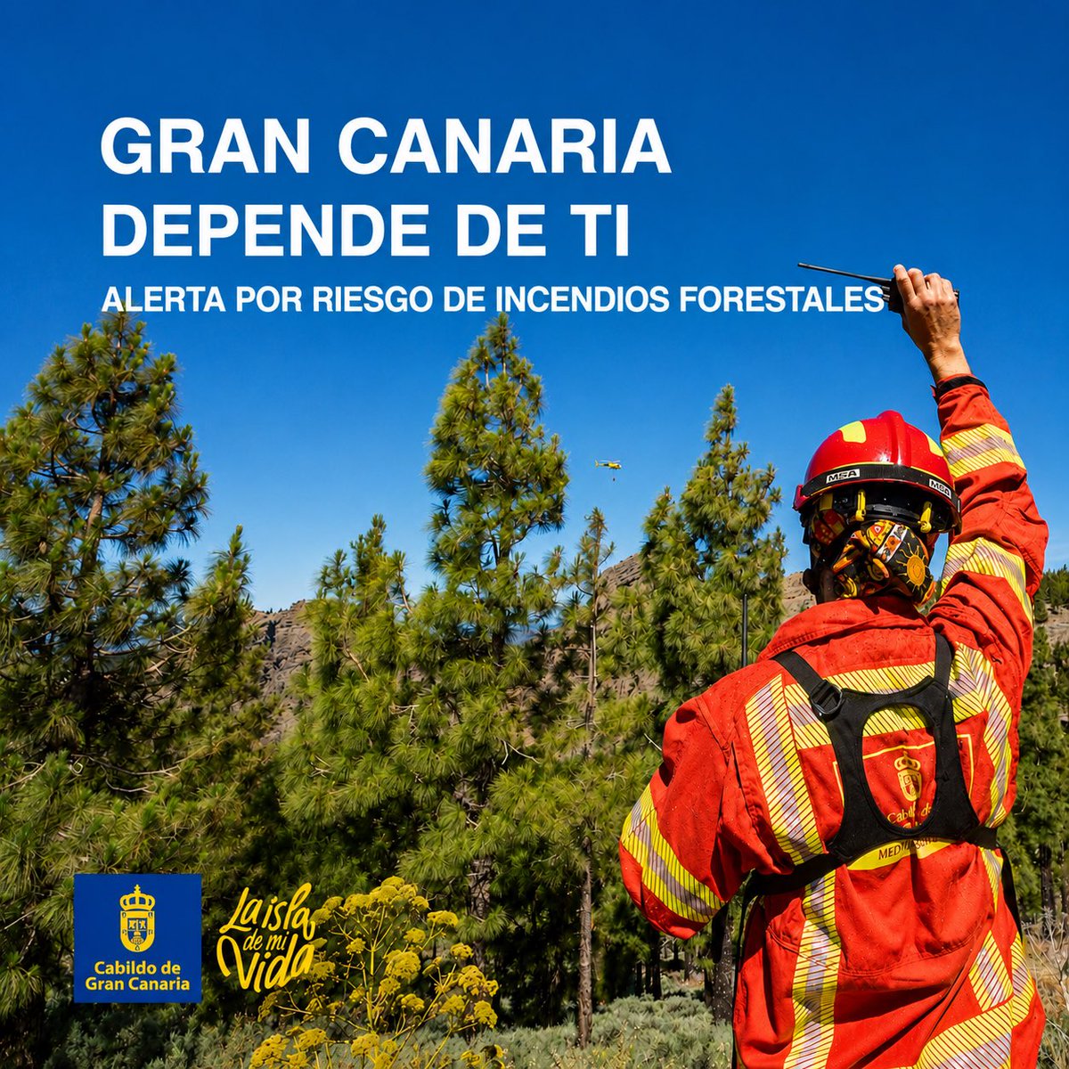 GranCanariaCab's tweet photo. 🔥 ALERTA POR RIESGO DE INCENDIOS FORESTALES

Hemos activado desde mañana a las 8:00 h la alerta por incendios forestales en Gran Canaria, por encima de la cota de 400 metros

Un descuido puede poner en riesgo nuestro monte, nuestras casas y vidas

Actúa con responsabilidad. https://t.co/xfi2ijhG49