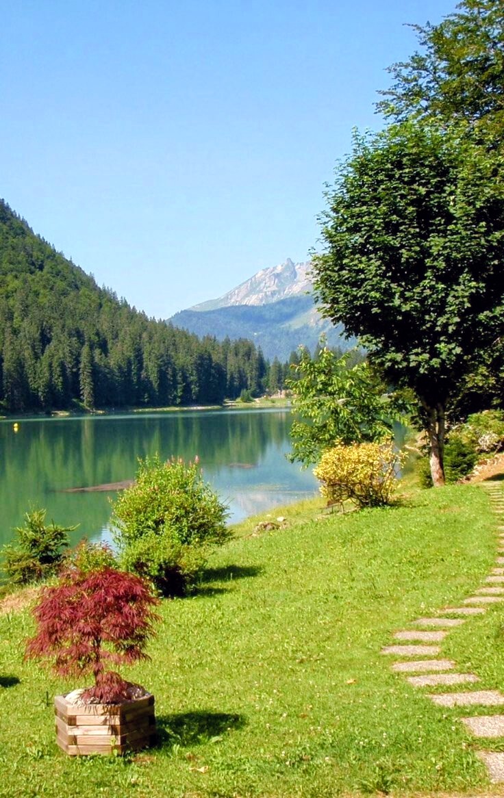 BeautifulVviews's tweet photo. https://t.co/Z5NKIIAK4a