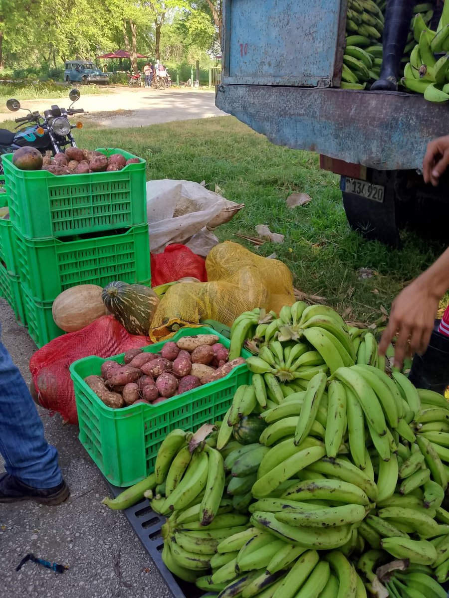 MichelCarlosSa2's tweet photo. Pese a la compleja situación que enfrenta el país con el déficit de combustible, diversos  actores económicos ponen empeño para mantener un espacio que el pueblo agradece La Feria del Chapuzón como popularmente se conoce.

#SiSePuede 
#Bayamo https://t.co/rFQvu6vk0s