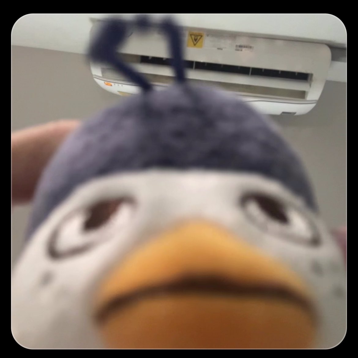 xalbixi's tweet photo. ขอคนเข้าใจก่อนนอน https://t.co/CJsBNohqiC