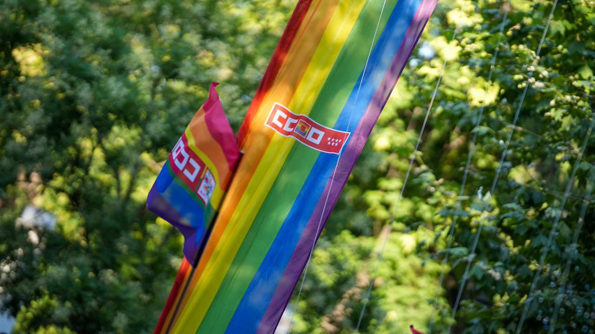 CCOO's tweet photo. 🔥📢‼️ Salimos a las calles con orgullo para que nadie nos haga dar ni un paso atrás. 

Seguimos defendiendo empresas libres de LGTBIfobia y una sociedad donde todas las personas puedan vivir en libertad.

✊🏳️‍🌈🏳️‍⚧️ ¡Feliz y combativo orgullo! https://t.co/U2baY9J7Bv