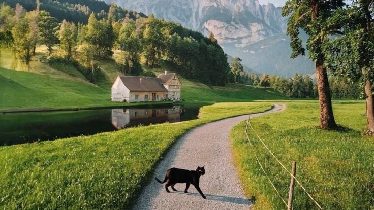 Pure_naturess's tweet photo. simple life. https://t.co/1kNV54mm1V
