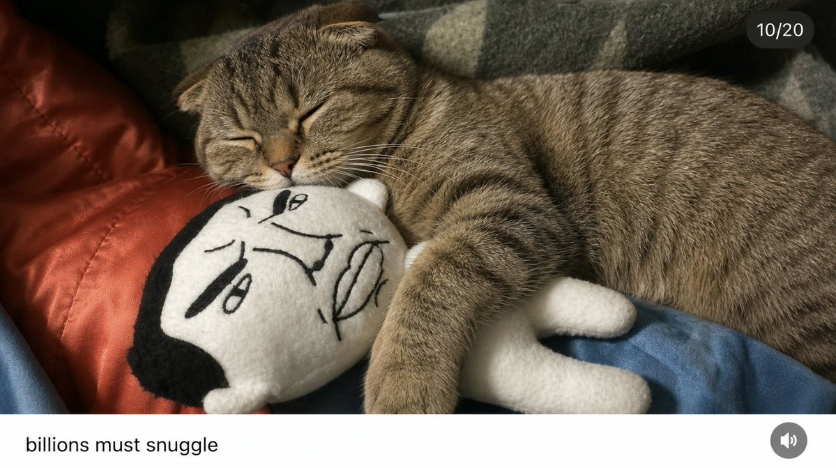 eyecookmemes's tweet photo. ayo @blknoiz06 

theres is a 90% supply control on a feline

you would be smart to look him up, and share this one for the trenches

billions will mushu https://t.co/FyS8rxycgQ