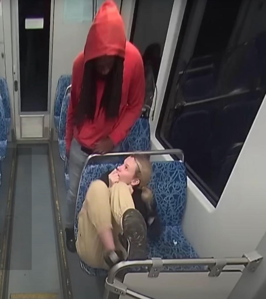 Noscito_Ryan's tweet photo. @AFpost That black woman was safer surrounded by white nationalists than fellow blacks and infinitely safer than any white woman surrounded by blacks. A reminder - Iryna Zarutska was brutally murdered by a black while black bystanders watched and did nothing to help her. https://t.co/gob9FIsv3f