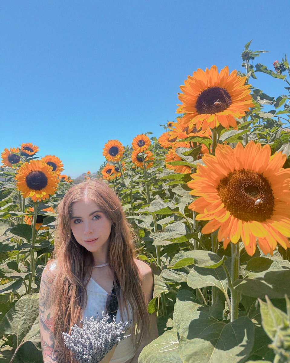Nyy (@NyyBeats) / Posts / X