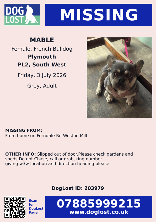 millypod1's tweet photo. 🆘3 JULY 2026 #Lost Mable #ScanMe
French Bulldog Female
From home on Ferndale Road, Weston Mill
#Plymouth #Devon #PL2
https://t.co/OmrlNQfTS3 https://t.co/BEcsGOimC2