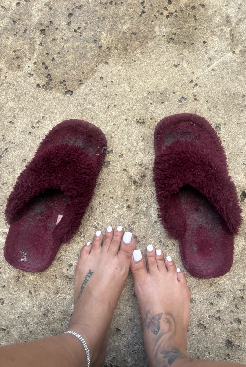 PerfectGrippers's tweet photo. Who wants to smell my dirty house slides? https://t.co/lg9HJ60Obx