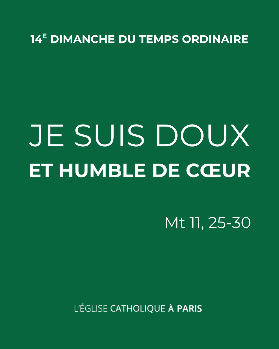 dioceseparis's tweet photo. 📖 "Quand Jésus dit : "Père, Seigneur du ciel et de la terre, je proclame ta louange : ce que tu as caché aux sages et aux savants, tu l’as révélé aux tout-petits", nous comprenons qu’Il a fait l’expérience de cette opposition qui naît, quand on annonce l’Évangile, à l’égard de tous les désirs humains, de puissance, de grandeur, de domination, de force."

Extrait de l'homélie de @MgrUlrich, le mercredi 4 octobre 2023  au couvent Saint-François (14e).