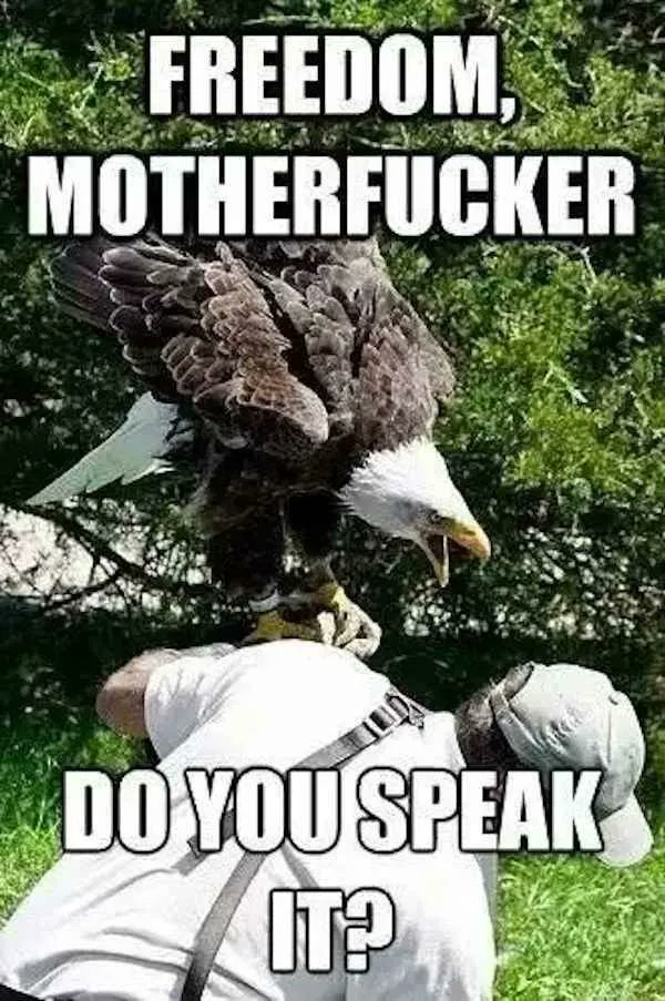 Spank tweet media