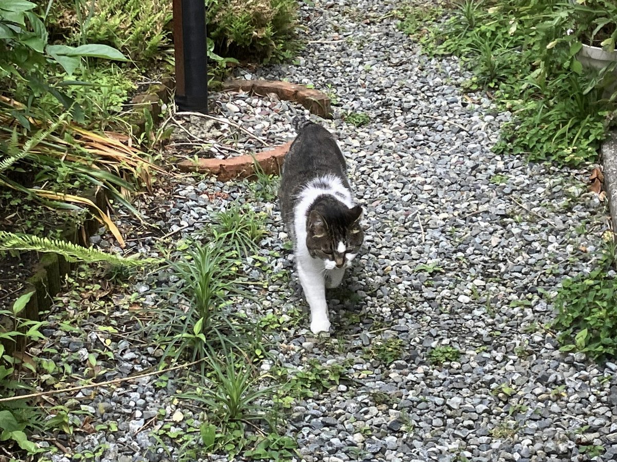 smal_43's tweet photo. 俺だけレベルアップな件
面白かった
次は何見ようかなぁ https://t.co/NxwDCwJ9ei