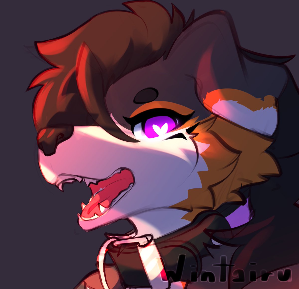 Wintairu's tweet photo. Im like.. telling you, he doesnt bite I promise https://t.co/gVi1AqRQhJ