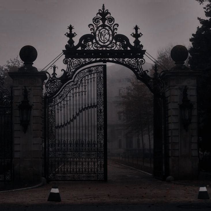 HauntedSympathy's tweet photo. || Solo - 𝙎𝙝𝙖𝙩𝙩𝙚𝙧𝙚𝙙 𝙏𝙝𝙞𝙣𝙜𝙨 || 

— 𝘛𝘩𝘦 𝘱𝘢𝘴𝘵 𝘣𝘦𝘢𝘵𝘴 𝘪𝘯𝘴𝘪𝘥𝘦 𝘰𝘧 𝘮𝘦 𝘭𝘪𝘬𝘦 𝘢 𝘴𝘦𝘤𝘰𝘯𝘥 𝘩𝘦𝘢𝘳𝘵. 

Reader Discretion Advised https://t.co/iqdx83ofoT