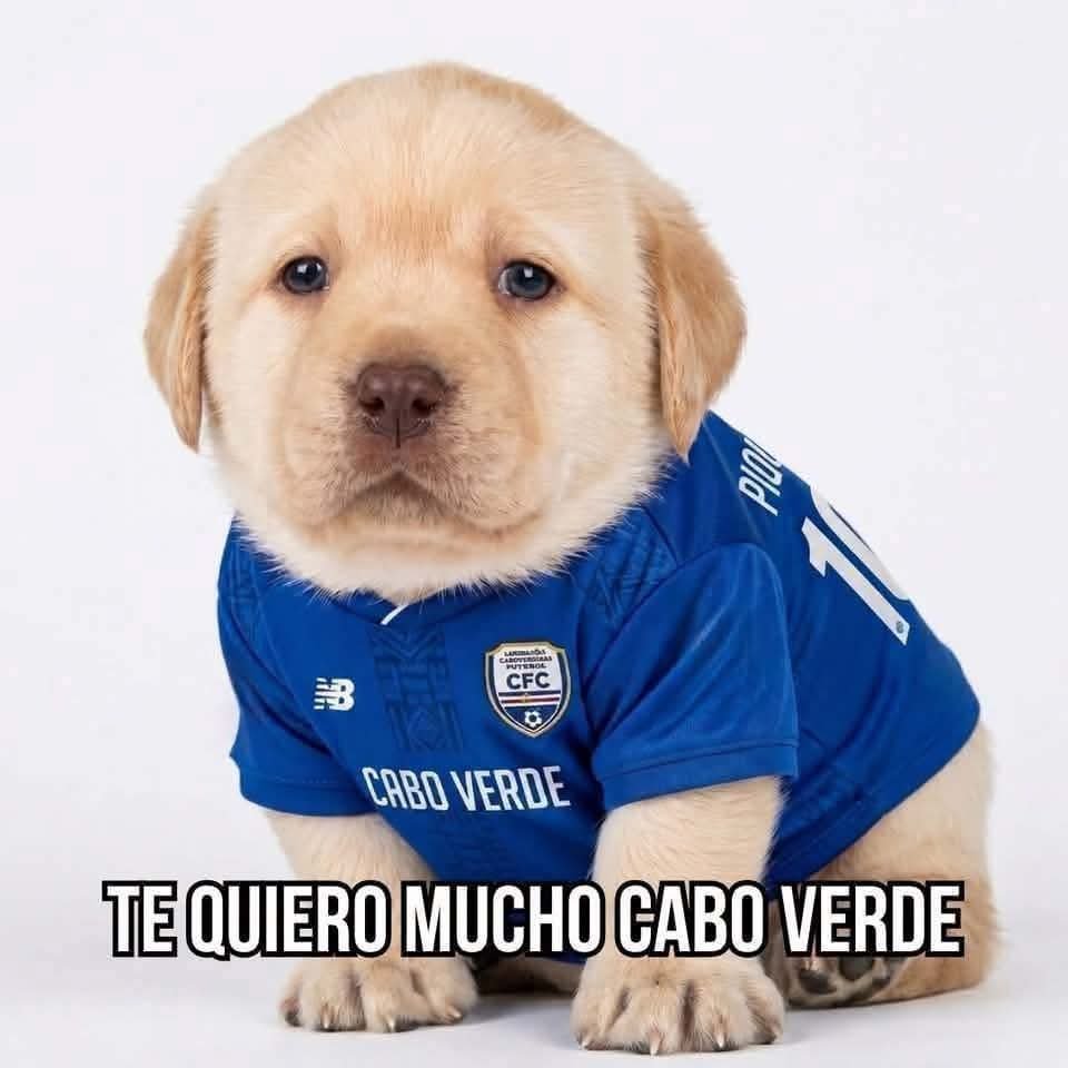 RashRobles's tweet photo. No, el siguiente mundial lo gana cabo verde, punto, guarden Tweet. Y si no lo ganan pues en mi corazón sí🥳, no es mucho pero que selección, que jugadores, que porterazo ¡Qué todo! https://t.co/LVmnUijom2
