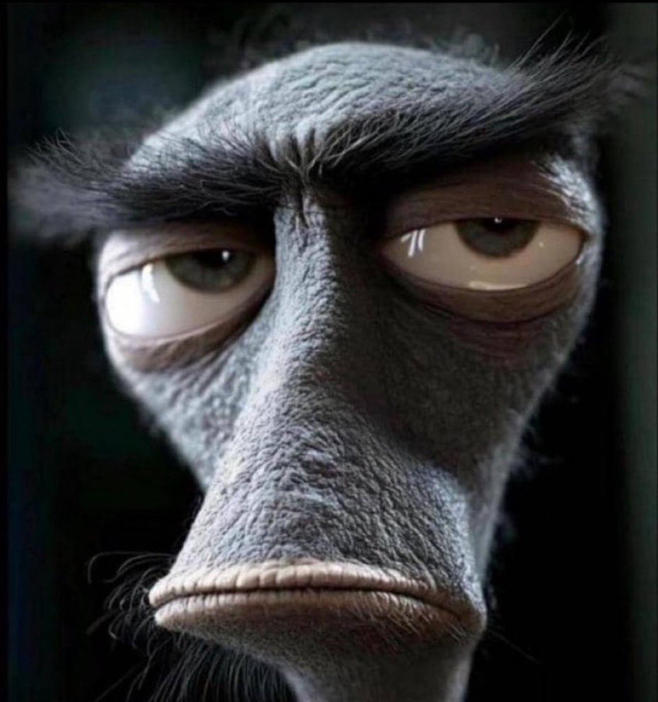 ElunHatesMe's tweet photo. Ask Kuminga fans why the 29 other teams haven’t signed him yet &amp; they look at you like this https://t.co/mXfjF3BQE7