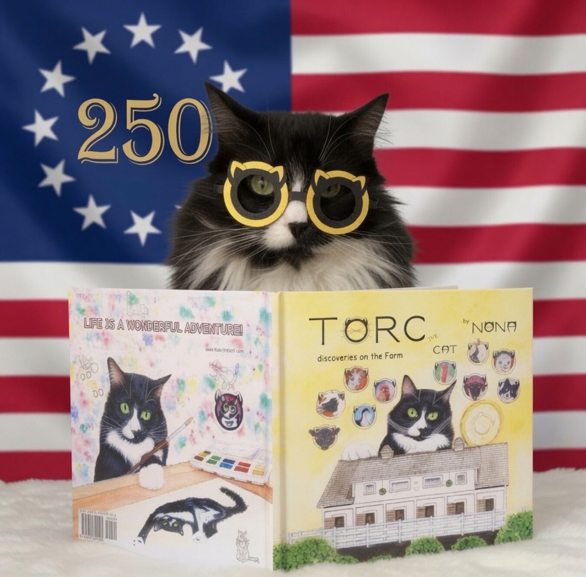 TORCtheCAT's tweet photo. Happy 250th Birthday, America! 🇺🇸

250 years of freedom, courage, and opportunity.

Today we honor the heroes who built this great nation, celebrate its enduring spirit, and look forward to an even brighter future.

Happy Independence Day! https://t.co/w7qjv4ECGa
