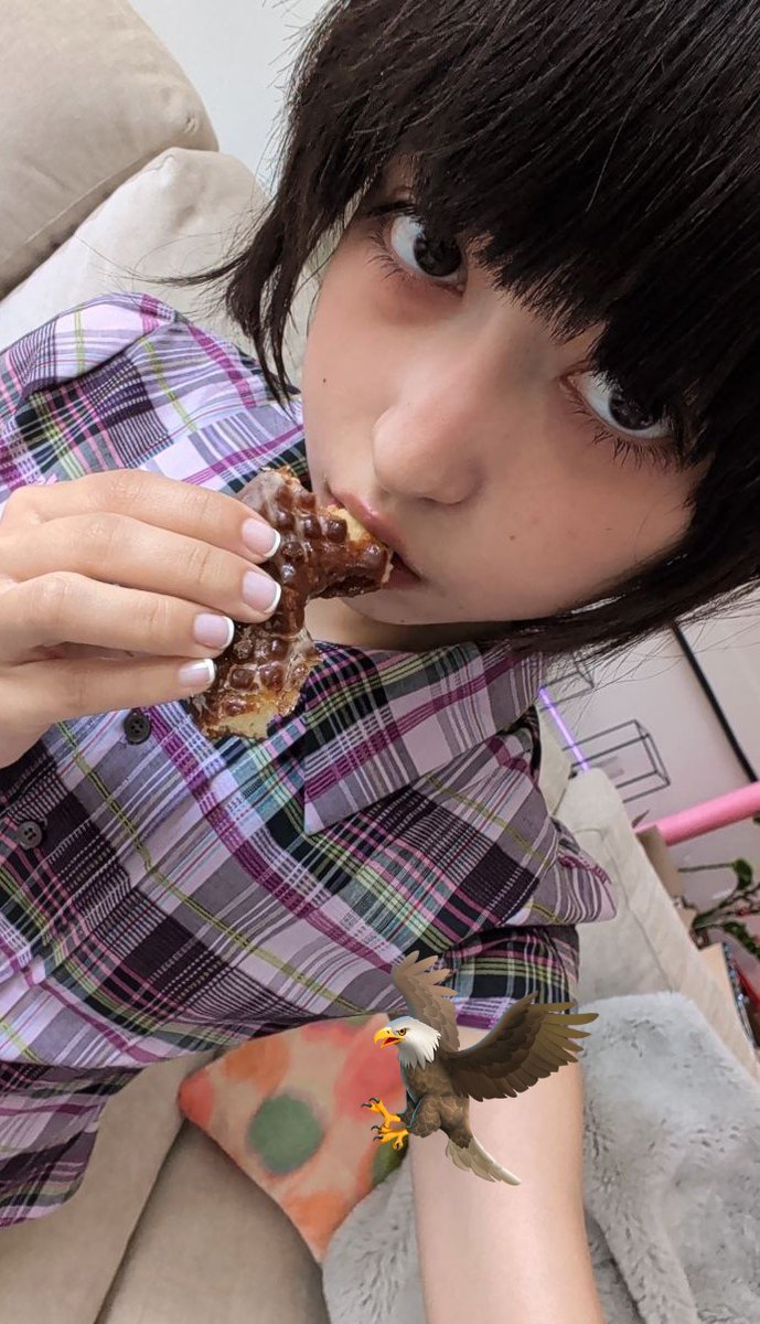 プカラ tweet media