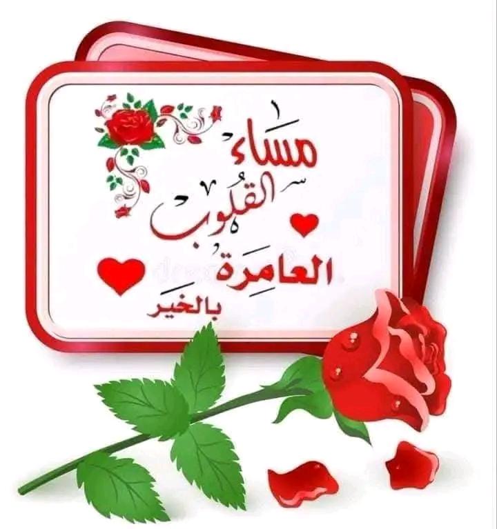 elsaherman555's tweet photo. @krml834458 https://t.co/iMWGs3xyrv