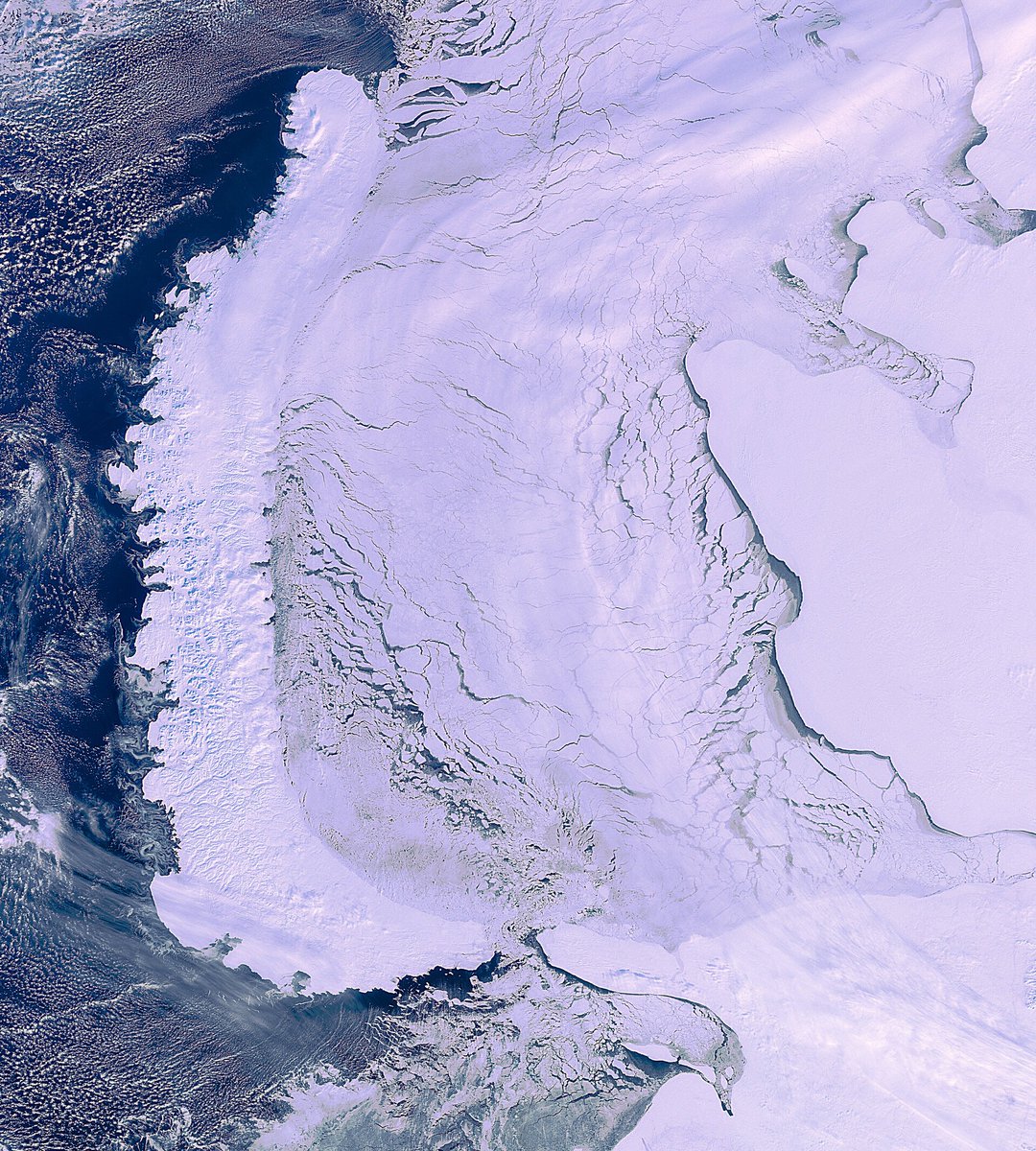 forallcurious's tweet photo. ALARMING SITUATION🚨: Arctic circle officially hit 100°F, FOR THE FIRST TIME! https://t.co/psxXxUGS0r
