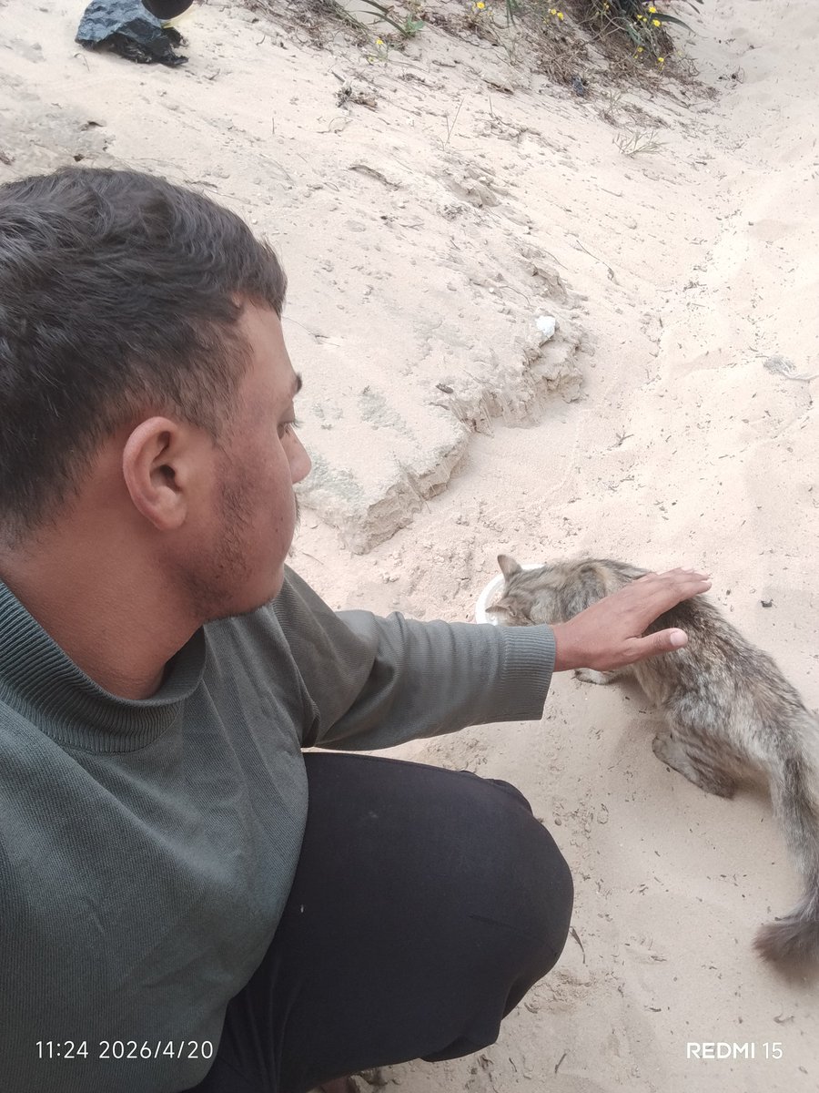 atta_jabour's tweet photo. Donations to my campaign are very slow, and we are in more urgent need than ever. Every contribution makes a difference, and all the funds in the campaign are being withdrawn regularly. This link is our only lifeline.
Please don’t stop supporting me.
https://t.co/bo5H9Q0Atk https://t.co/NV5isBWpJn
