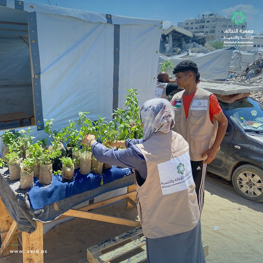 aardps's tweet photo. 🌿 معاً نحو بيئة أكثر صحة ومجتمع أكثر صموداً
بالتعاون مع @munigaza، نفذت جمعية التحالف مبادرة لتنظيف وتشجير مخيم الحياة بمدينة غزة.
شملت الحملة تنظيف المساحات العامة وزراعة الشتلات للحد من المخاطر البيئية وتوفير بيئة نظيفة وآمنة لأهلنا. 🌱
#جمعية_التحالف #غزة #بيئة_نظيفة https://t.co/g6TczXfqgK