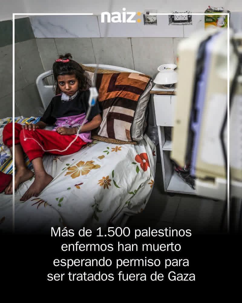 muzeriqui's tweet photo. Que bien aprendieron de los Nazis.. 
Miles de muertos, miles de niños muertos por el ejército mas cobarde del universo conocido.. https://t.co/H1asT2i8R0
