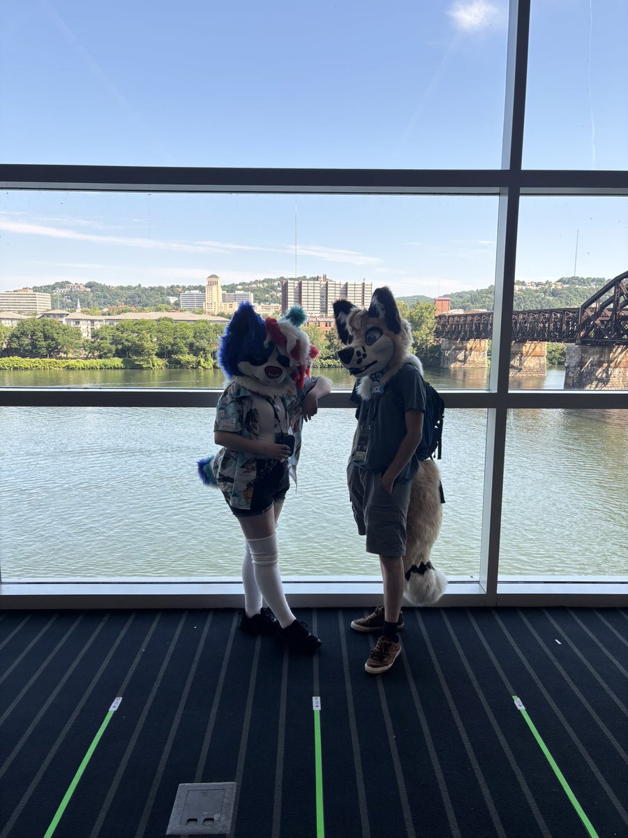 Frozencalico's tweet photo. We have arrived come find us we love photos!! https://t.co/HHLhbK6l0h
