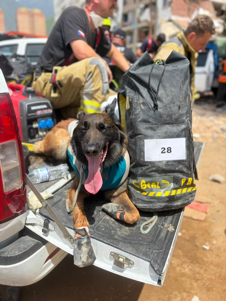 CzHasici's tweet photo. Český USAR dokončil misi ve Venezuele. Domů se vrací po dnech náročné práce v troskách https://t.co/9aK5pBbdfw 
🇨🇿🚒 Český USAR tým ukončil misi ve Venezuele. V závěru pomáhal zajistit bezpečný přístup k obětem a předával místním záchranářům zkušenosti... #USAR #Hasiči #HasiciCZ https://t.co/OZSUG4tPEl