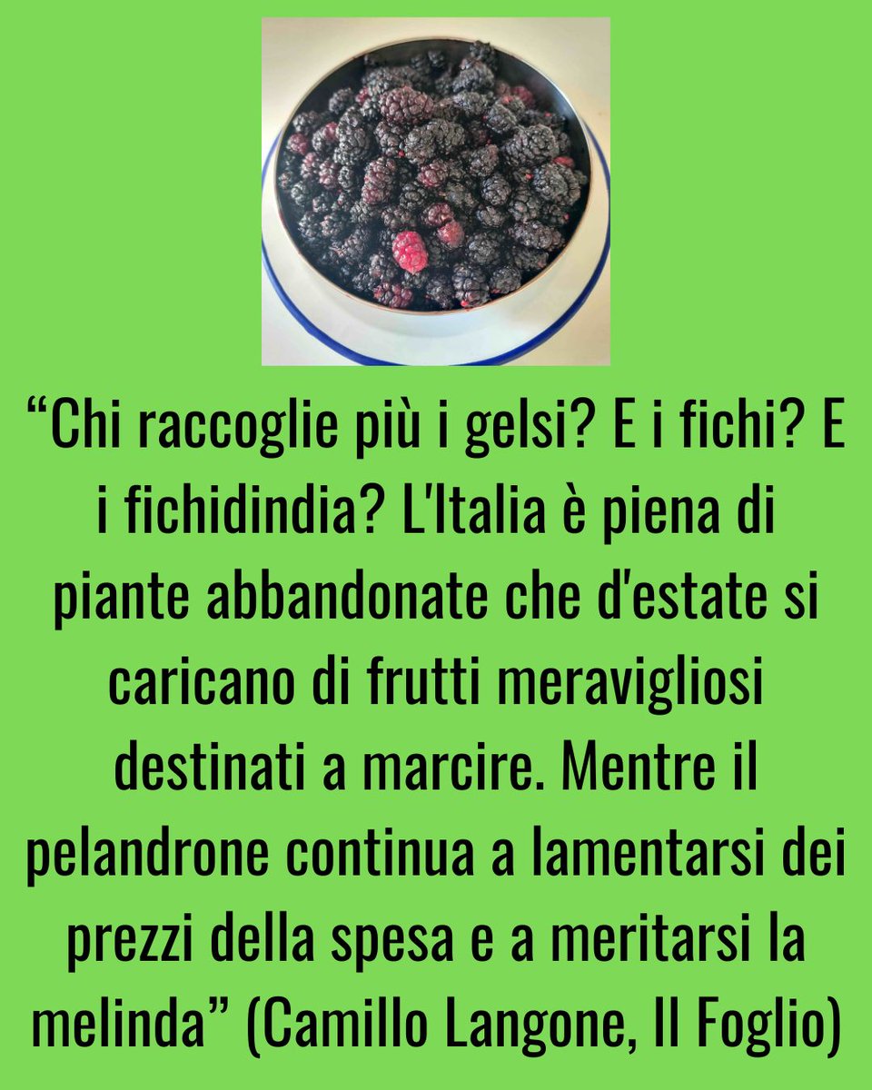 CamilloLangone's tweet photo. https://t.co/zUZlp9fnuB