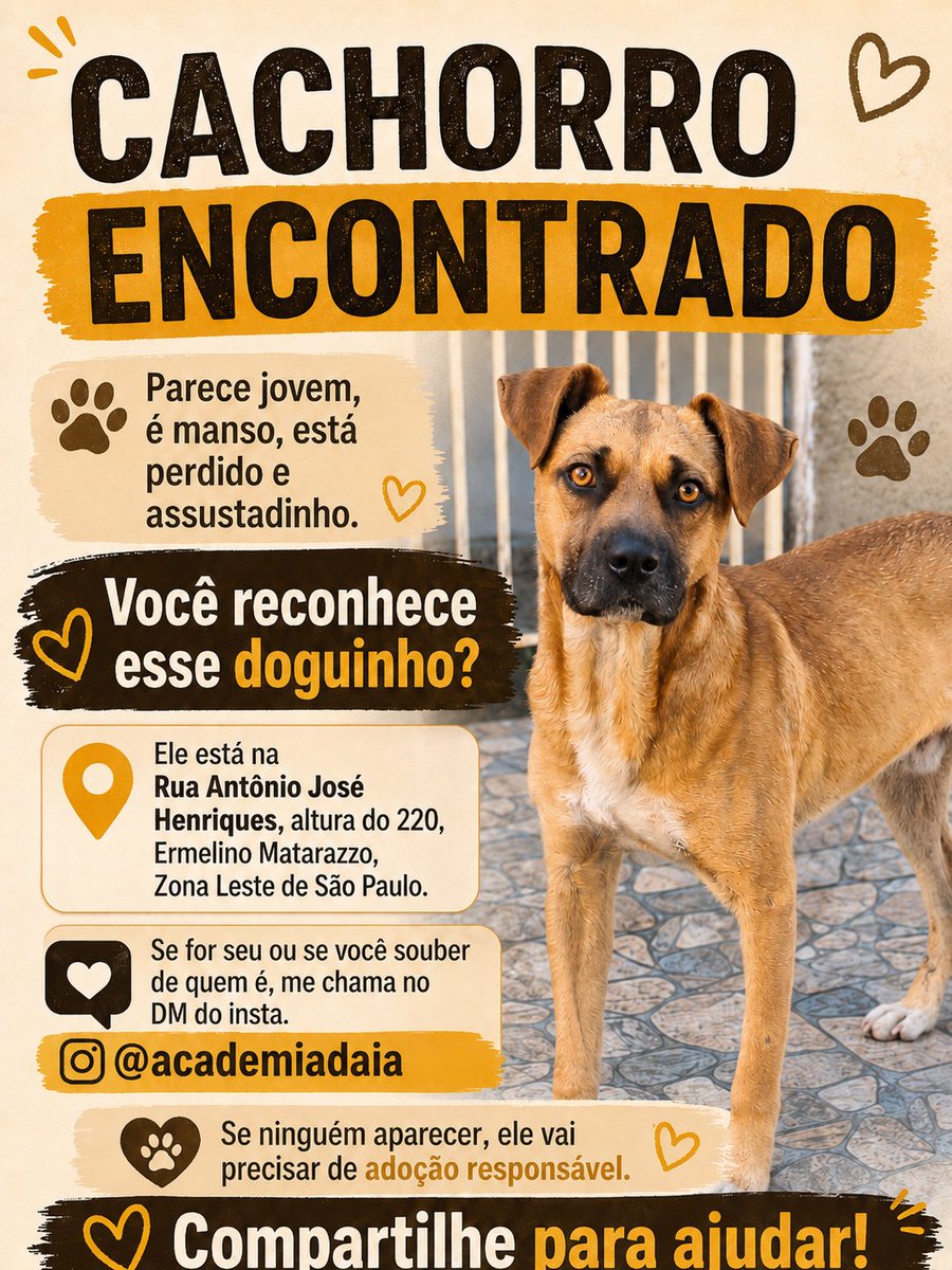 DaniloPag's tweet photo. @AbrigoMeimei preciso de ajuda... Esse carinha está na porta aqui de casa faz dias... Parece jovem, é dócil, e acho o que sofria maus tratos. Parece assustado. Estamos no Ermelino Matarazzo, Zona Leste de São Paulo. https://t.co/OfKoEmpq1Y