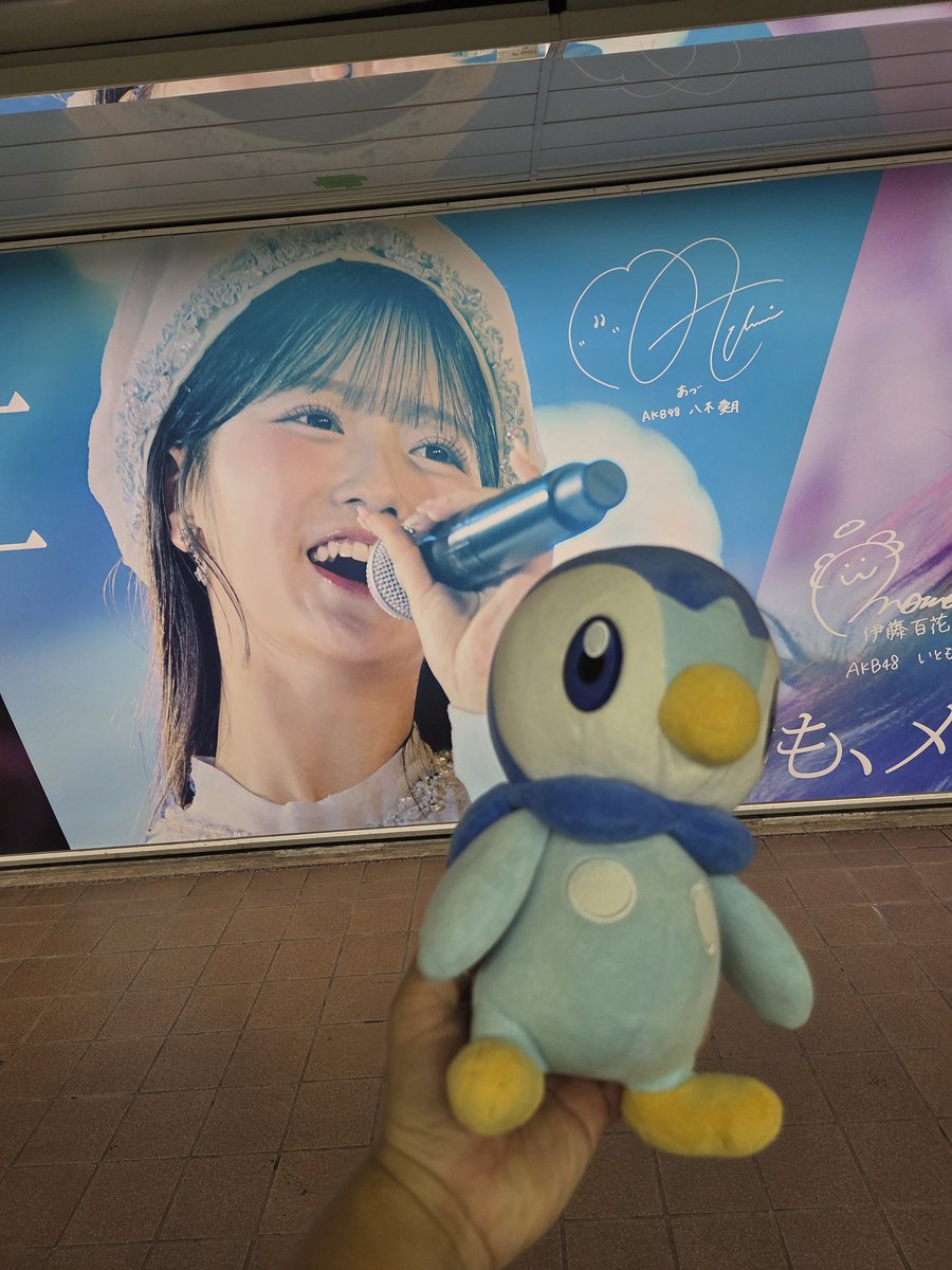kabigon0708's tweet photo. 今日2つ目の現場はこちら✨
新宿にある星月花の広告を見に😁
シアター当選して近いのでに行ってきました😁
#佐藤綺星
#八木愛月
#伊藤百花
#AKB48
#Calamee https://t.co/O8aKtQVUbp