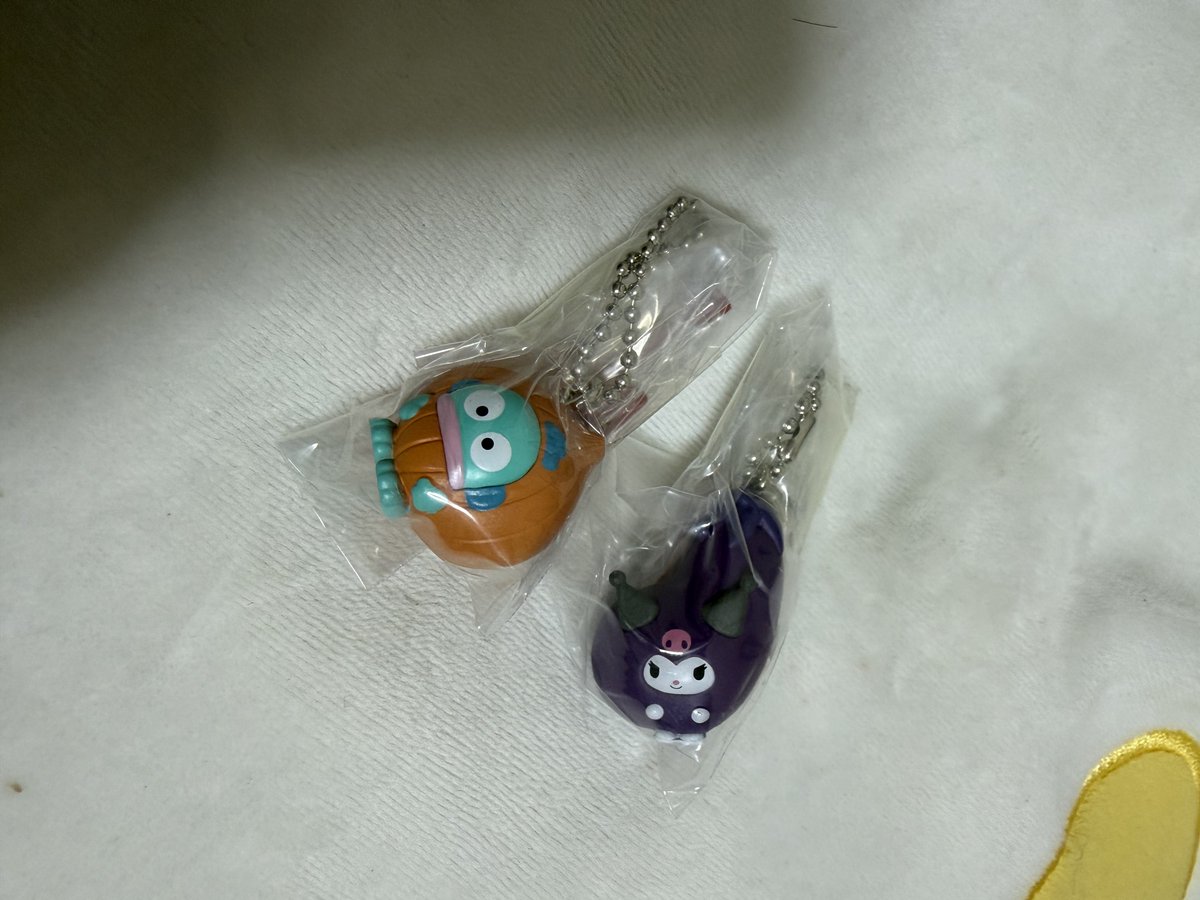 o___ka0418's tweet photo. 【交換】サンリオ ベジタブルビスケット チャーム 野菜

譲　ハンギョドンorクロミ

求　ペックル

郵送希望です。
お気軽にお声掛け下さい。 https://t.co/qC7Q4ZKvy6