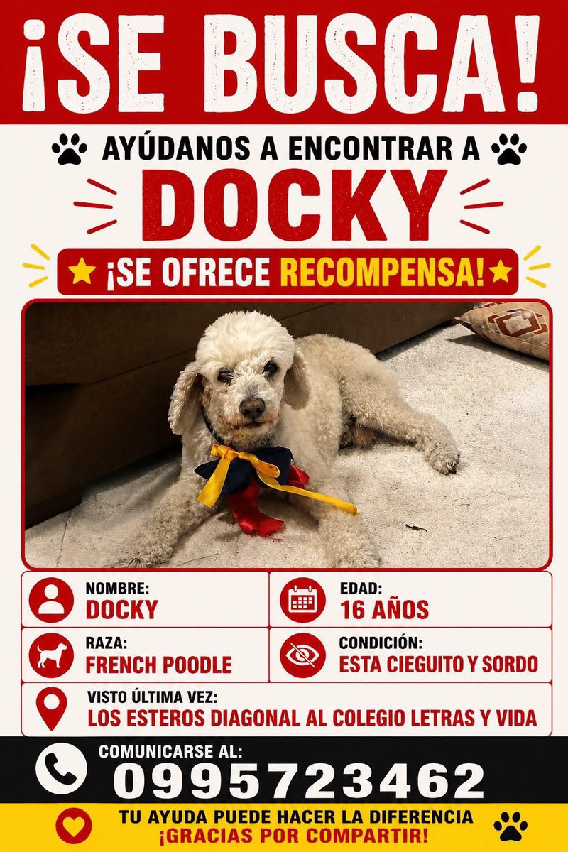 AlertaMePerdi's tweet photo. #PERDIDO #GUAYAQUIL
Nombre: #Docky
Fecha: 2026-07-02
Sector: Sur, coop la libertad. Sector Los Esteros a la altura del Colegio Letras y Vida
Sexo: Macho
Raza: French
Observación: Tenía un lazo de la tricolor
Contacto: 0982356746
¡Ayúdalo a volver con su familia!
 #AlertaMePerdí https://t.co/l7N03WWTo5