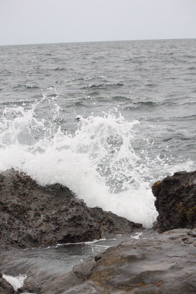 Yupon0817's tweet photo. 光に照らされた海は昼間の荒々しい波とまた違って
静かで波の音が心地いい
⁡
 #江ノ島 #夜景  #波  #カニ  #海 https://t.co/l9rKmW0d0A