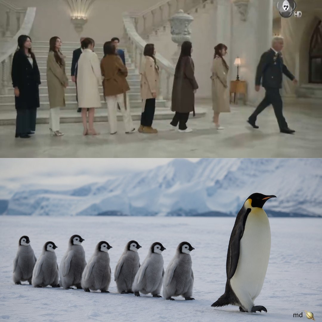wediditbabyy's tweet photo. Watinwanit family finally went to Madagascar 🤭

THE AIR FINAL EPISODE
#เสน่หาวาโยตอนจบ https://t.co/PbOkL0oV4N