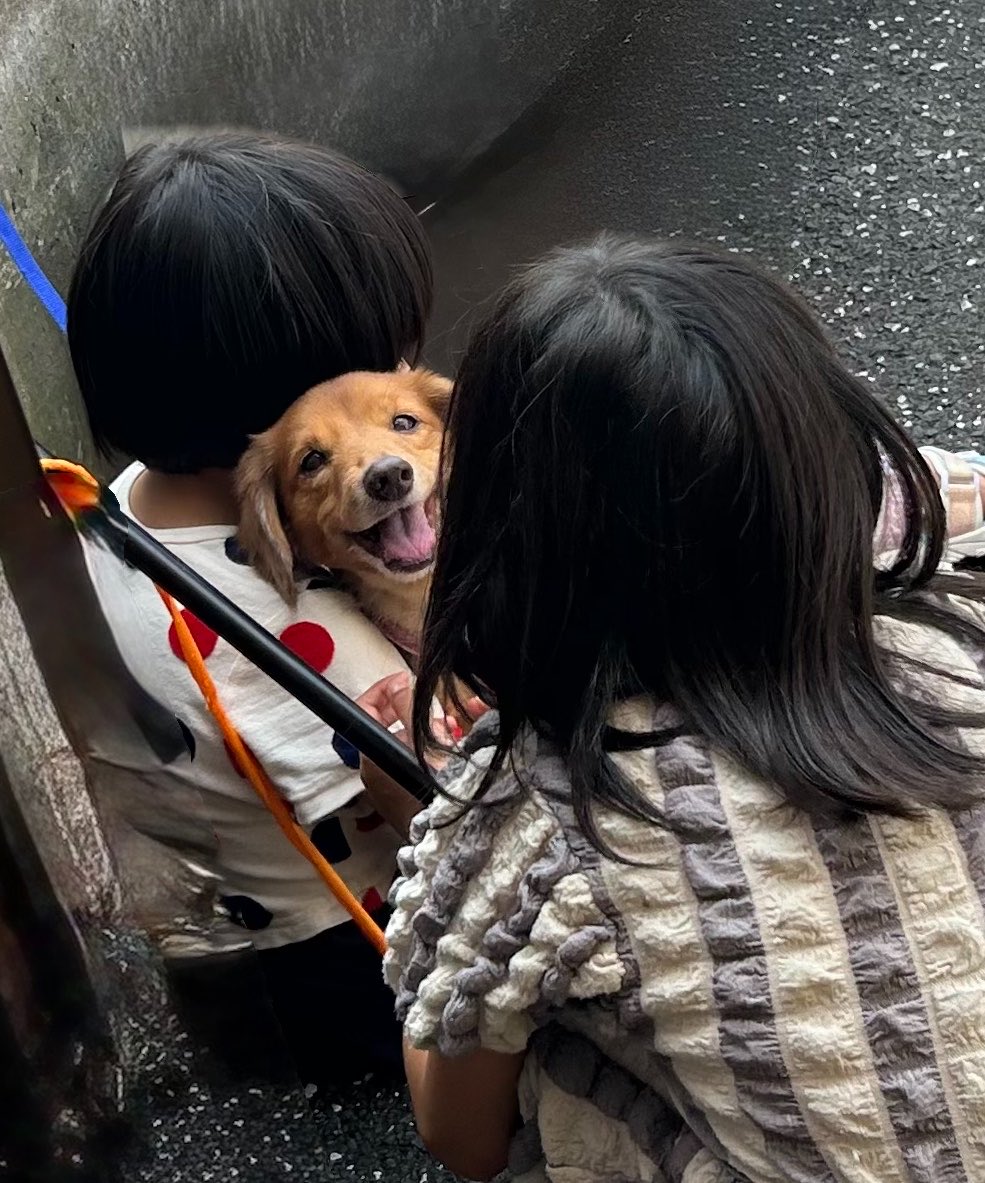 hariharihahifu's tweet photo. これは子供にモテモテだった時の右京さん https://t.co/TphwaBnWJf