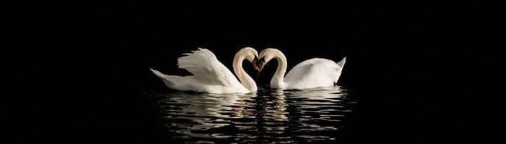 79mariam11's tweet photo. إِنَّ اللَّهَ يَخبِئـكَ لِمَن يُشبِهكَ ،
 فَلَـن يَصِـلَ إِلَيـكَ،
 إِلَّا مَن يَحمِلُ فِي روحِهِ شَيئًـا مِـن رُوحِـكَ🖤' https://t.co/xoM6OdkdJO