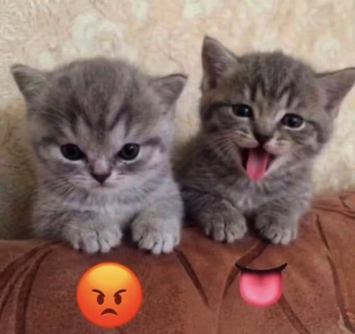imDecaffeinate's tweet photo. انا بداية الطلعه
انا بنص الطلعه https://t.co/YkpIGI5gyc