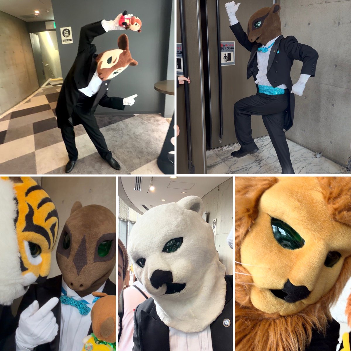 nm367112's tweet photo. お見送りhttps://t.co/ZgAVffcu1F

とりあえず午前も午後も🐯ྀིさんにめっちゃ乱入されました🤭ᩚ

最近推しになりつつあるｵｶﾋﾟさん♡
あんまり会えないﾀｰｷﾝさん(推し)♡
バッジ隠してるﾄﾞｩｸちゃん(推し)♡
マリオ🍄になるﾊﾞｸさん(最推し)♡

皆とたくさん写真撮れた🤭ᩚ

次は新宿で!! https://t.co/CUbDB5cTfy