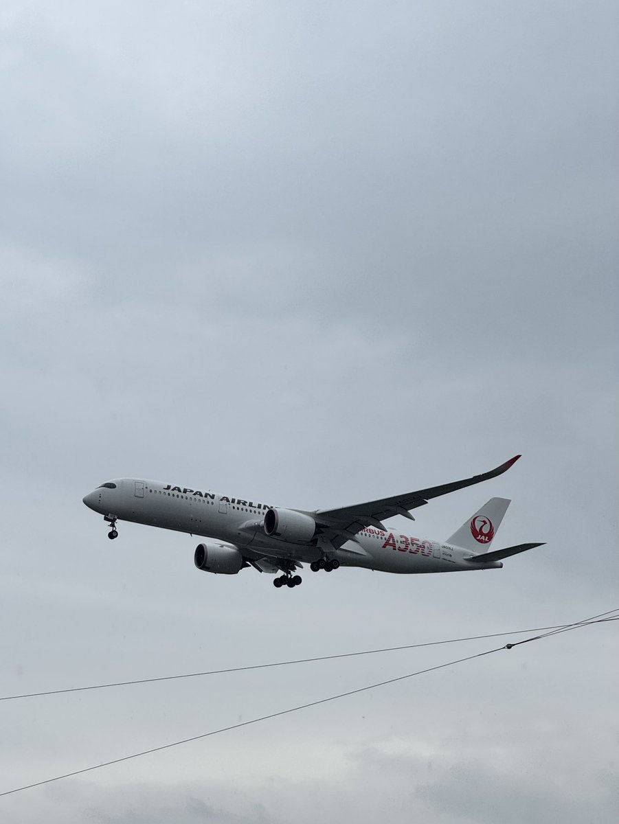 義実家の玄関先での今日の収穫。 AIさんによると エアバス A350-900型