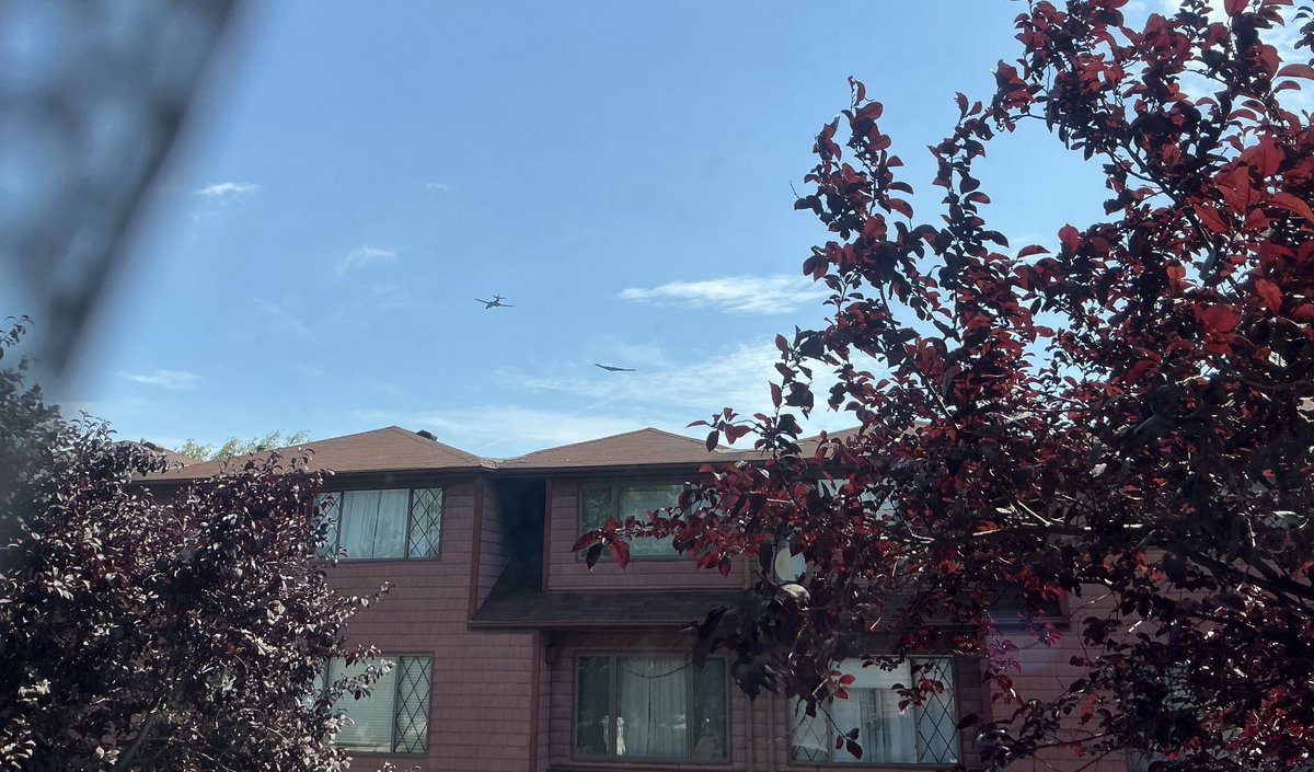 GhostStalker314's tweet photo. Holy shit, B1 and B2 spotted! https://t.co/fROAGJsRLy