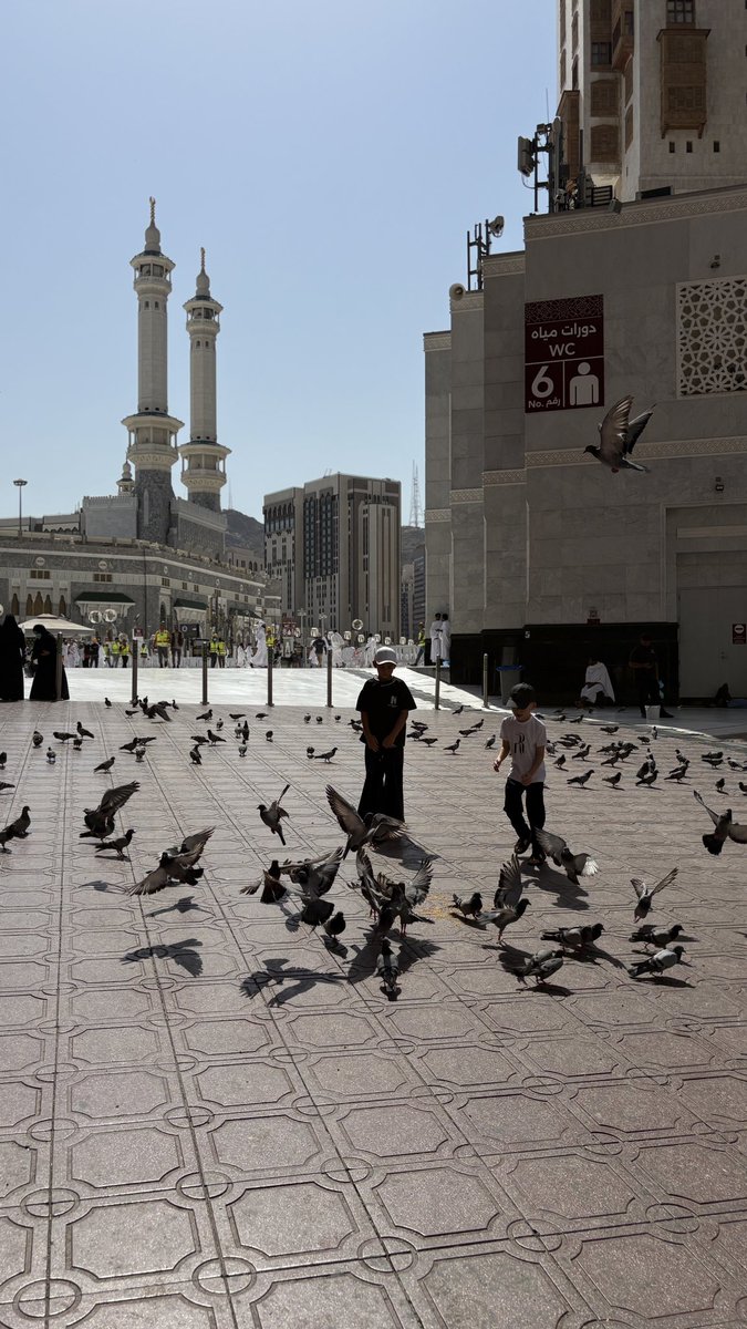 xitmem's tweet photo. - 🕋❤️ https://t.co/9pCascS7zl