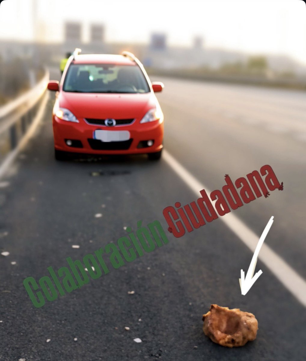 PoliciaGr's tweet photo. Nos piden colaboración:
Hoy, a las 06:30h. en la incorporación a la A-395 desde la rotonda de La Zubia, un vehículo ha tenido que perder parte de la carga de troncos de leña que llevaba.
Estos troncos han causado 2 siniestros sin heridos.
Si sabes algo, infórmanos vía DM.
Gracias https://t.co/fye72G7rfX