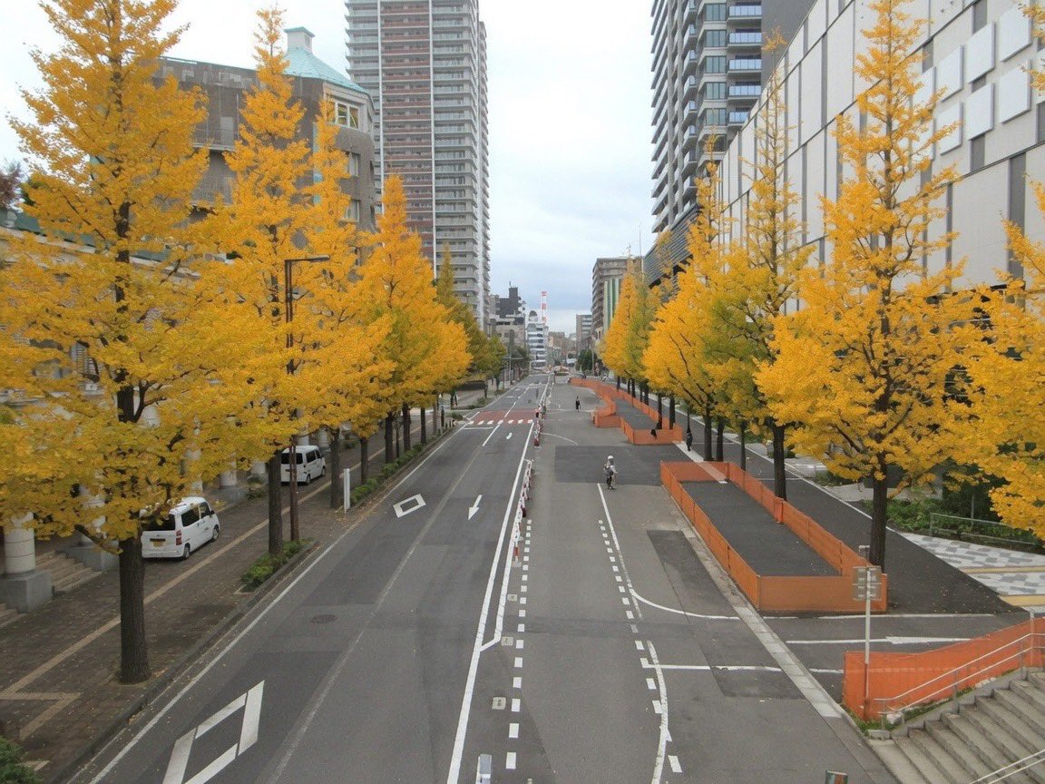 machiarukitai's tweet photo. 浦和駅西口再開発ビルの南側を走る都市計画道路・田島大牧線🛣️ 

再開発のおかげで、道幅も歩道も広く真っ直ぐ綺麗な道なので、植樹して桜並木か銀杏並木のような道になったらいいなぁ(願望)

電車からも見れるし、実現したら浦和の街の季節の風物詩になるのでは？😚 https://t.co/5fYRtdIOCN